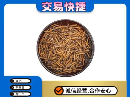 大竹县高价回收散虫草